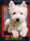 "For the Love of a Westie" Photo Card