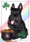 Scottie's Fortune St. Patrick's Day Card