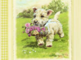Sunrise Wheaten Puppy Card