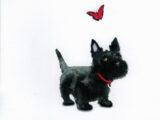 Scottie and Butterfly Card