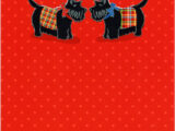 Two Scotties Discuss Their Plaid Coats Card