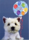 Westie Puppy and Balloon Birthday Card