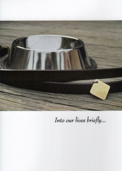 Collar and Bowl Dog Sympathy Card